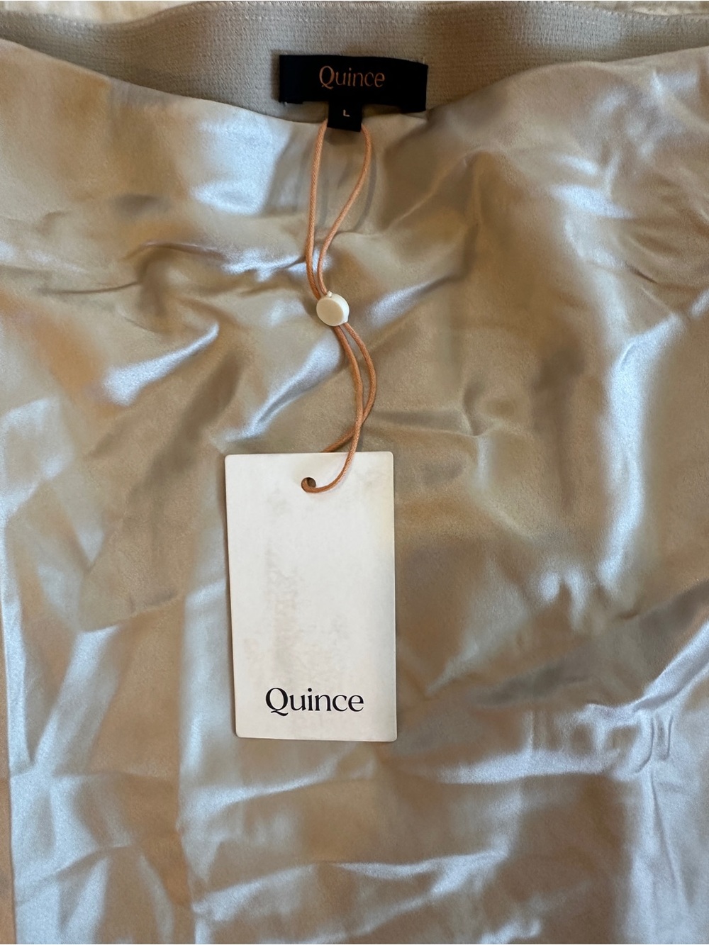 NWT Quince 100% Washable Silk Skirt in Champagne